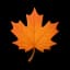 Maple